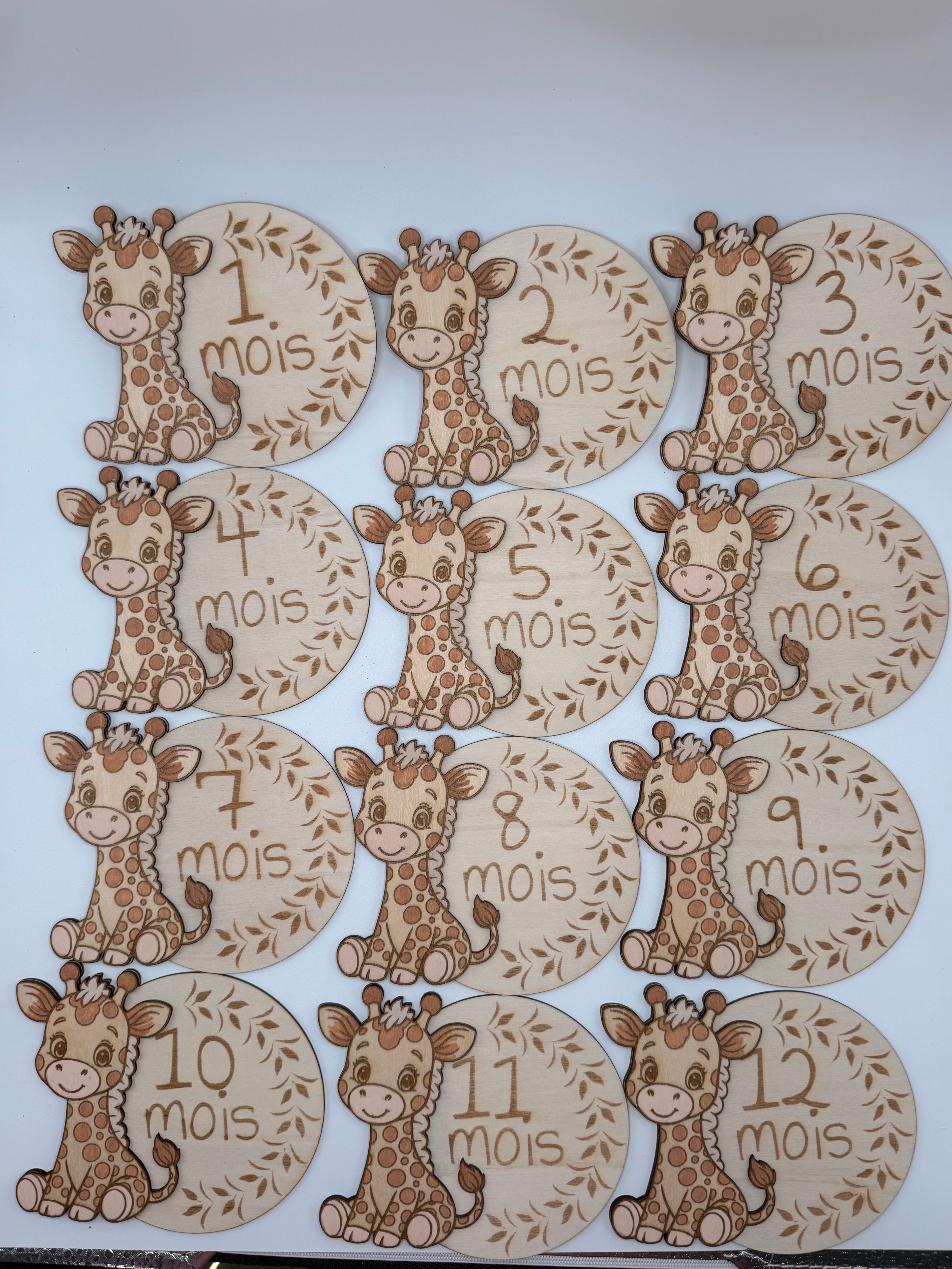 Coffret Cartes Étapes Bébé "Safari Doux"