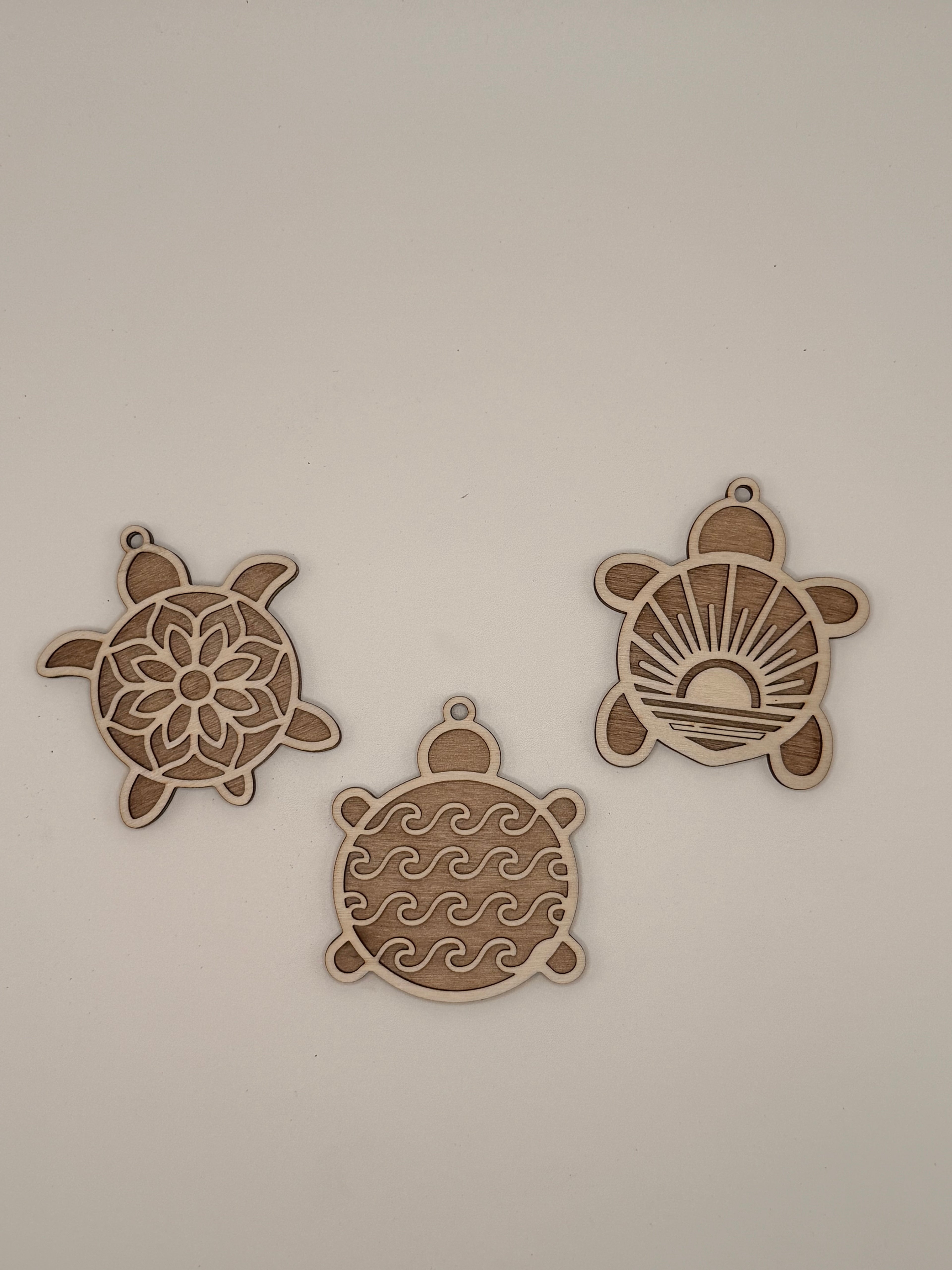 La Caravane des Tortues