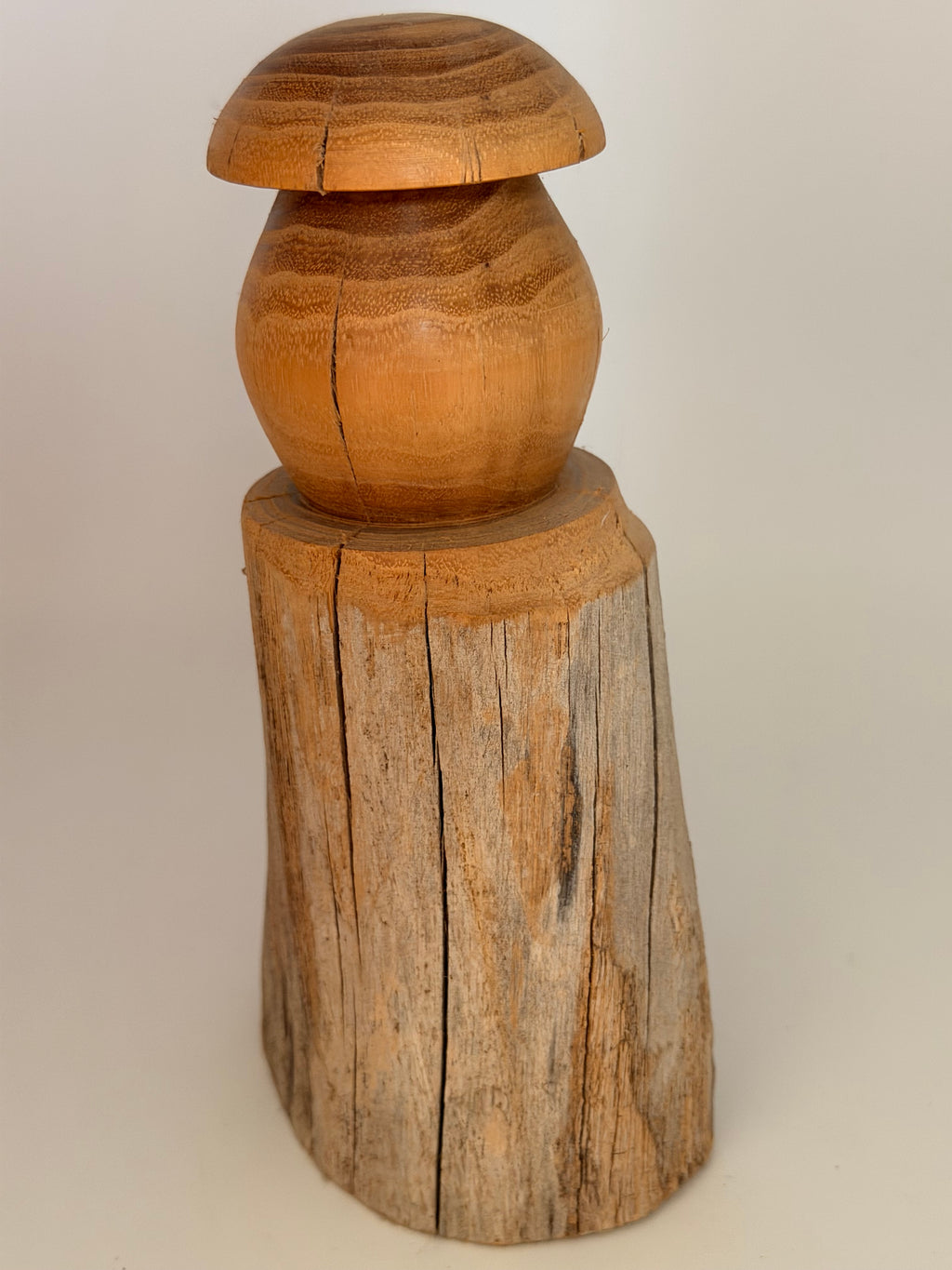 Sculpture "L'Or de l'Acacia" en bois de robinier - Pièce unique
