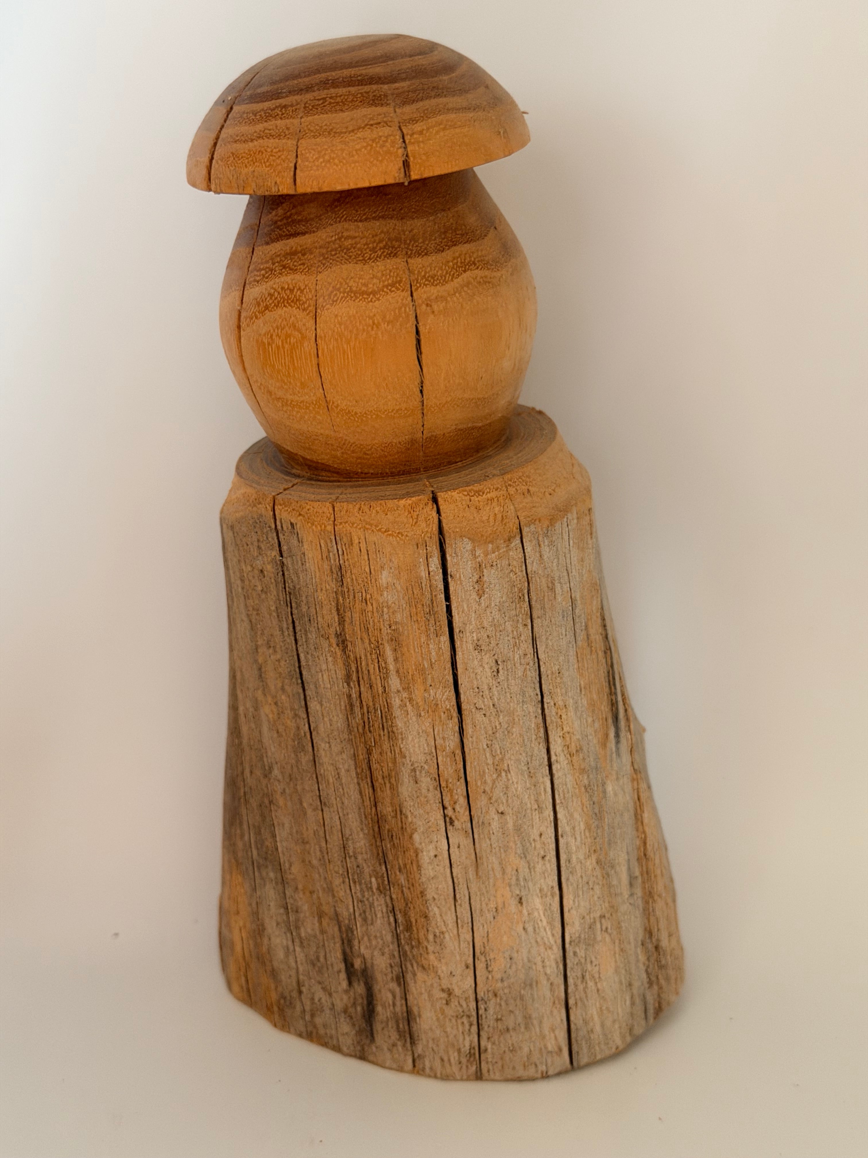 Sculpture "L'Or de l'Acacia" en bois de robinier - Pièce unique