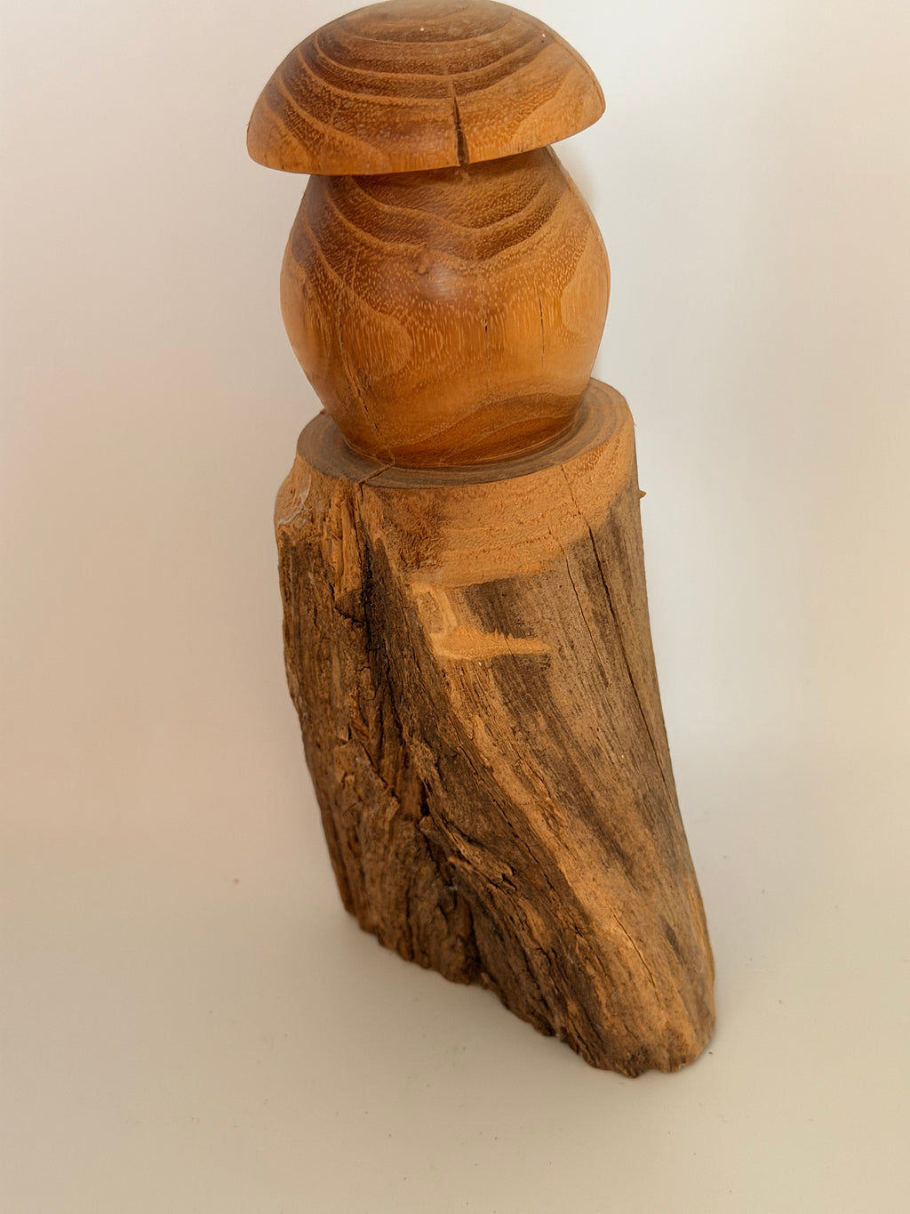 Sculpture "L'Or de l'Acacia" en bois de robinier - Pièce unique
