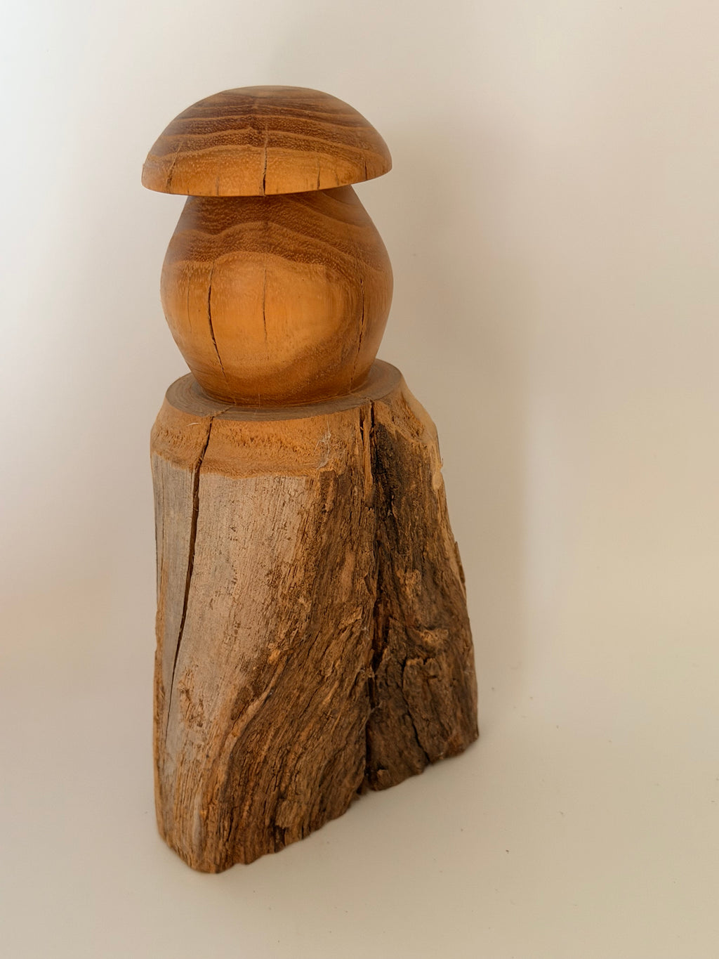 Sculpture "L'Or de l'Acacia" en bois de robinier - Pièce unique