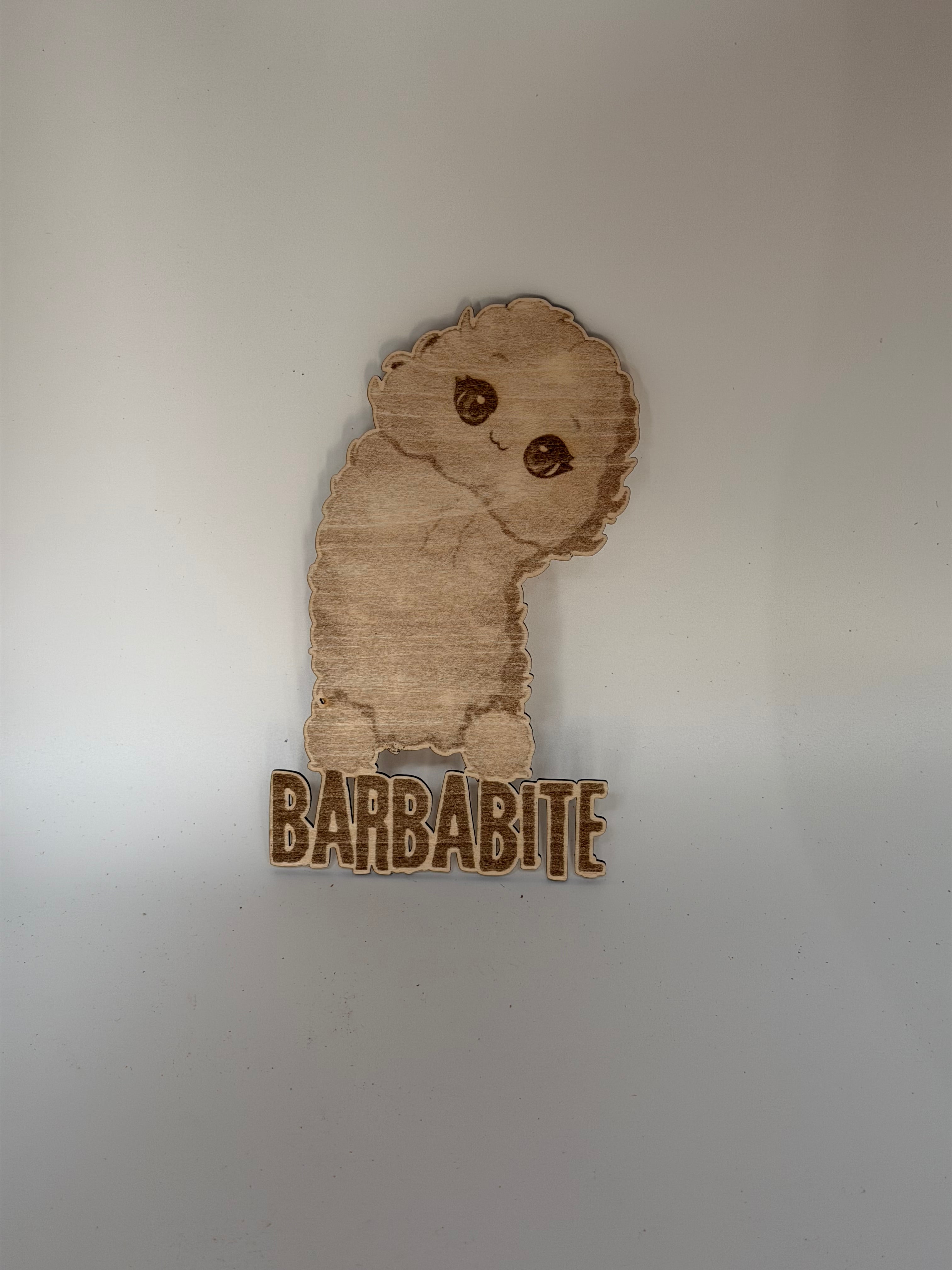 Barbabite Le Mignon Poilu